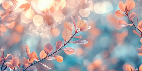 firefly evenings soothing and calming visuals