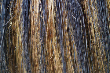 Texture of coconut fiber broom with yellow black color