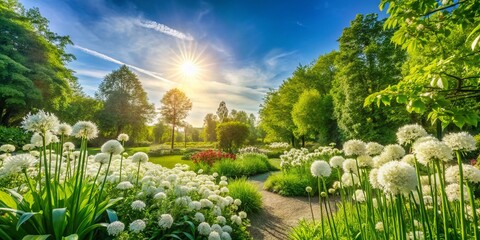 Obraz premium Panoramic View of White Flowers Blooming in a Lush Garden
