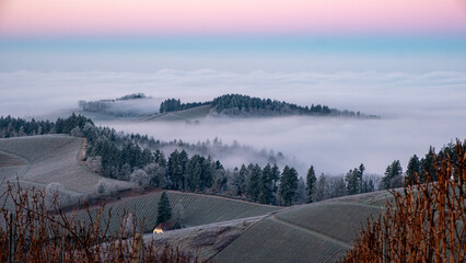 Staufenberg Castle in the Black Forest