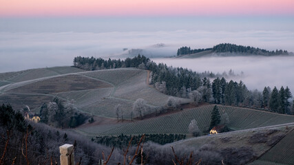 Staufenberg Castle in the Black Forest