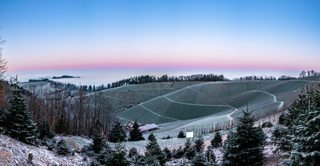 Staufenberg Castle in the Black Forest