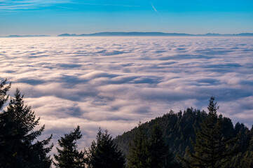 Hohes Horn in Offenburg Germany