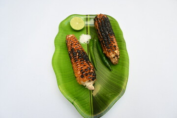 Grilled Sweet corn cob on whitebackground. This is a complete food for humans. It contains many vitamins. It's like all over world. Heathy eating. 