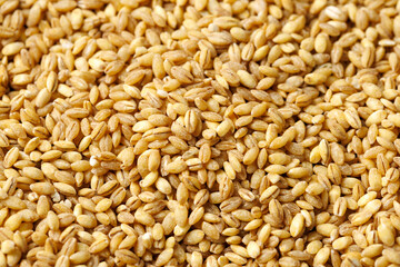 Uncooked Pearl Barley background, texture