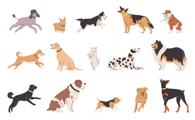 Set dogs different breeds. Happy bulldog, dalmatian and corgi. Cute labrador, doberman and poodle. Running funny domestic animals. Cartoon flat style isolated illustration. Vector pets