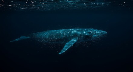 Naklejka premium Majestic enormous gray whale swimming gracefully in dark deep ocean water with subtle light rays, concept for marine life conservation, nature documentaries and ocean exploration projects