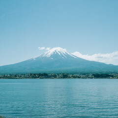 富士山と河口湖と美しい植物