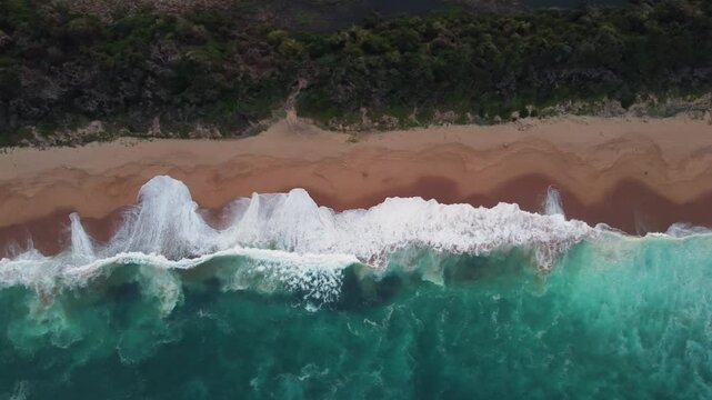 sea waves wetting sandy beach with row of greenery on the shore in uMhlanga Town in South Africa