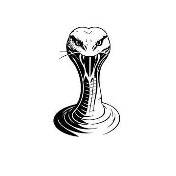 Snake Vector Logo Design