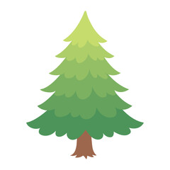 Fir tree Hand drawn forest plant flat style isolated pine tree. Green crowns foliage Botanical For web graphic design, poster. Vector illustration