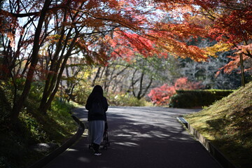 秋の紅葉の中を歩く女性