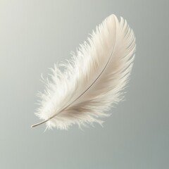 Obraz premium Realistic White Feather Suspended Mid Air with Intricate Details