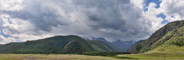 evergreen trees under rain clouds in mountains