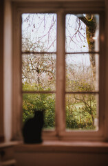 Fototapeta premium Cat looking throught the window - French farmhouse