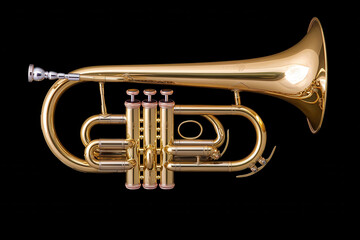 Obraz premium Golden brass flugelhorn glowing under soft lighting on black background