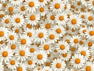 A Seamless Pattern of White Daisies with Yellow Centers on a Background of Overlapping Blooms Creating Shadows and Depth