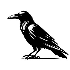 Crow vector