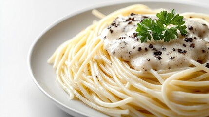 Creamy Pasta with Garlic Sauce and Fresh Parsley on Gourmet Plate