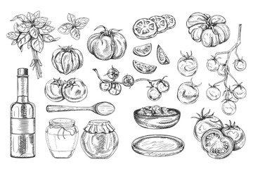 Vector illustration of vegetable set ripe red tomatoes, basil leaves, glass bottles, wood plates. Organic farming healthy fresh ingredients. Hand drawn, line art by black ink on isolated background