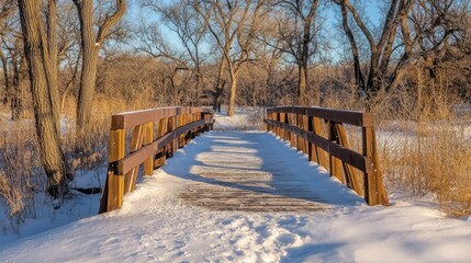 Wooden Footbridge in a Snowy Winter Woodland