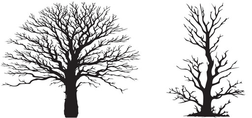 Silhouettes of various trees on white background vector, tree set