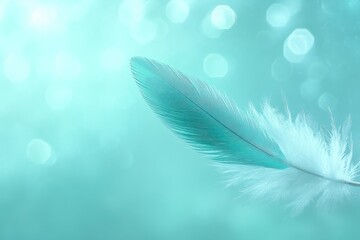 Naklejka premium Minimalist Turquoise Feather Floating on Soft Bokeh Background