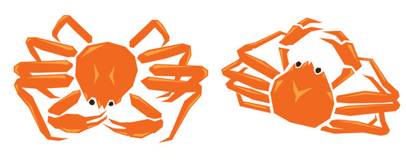 Snow crab Vector logo eps 10. background, perfect for wallpaper or design elements