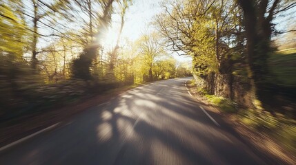 Fototapeta premium Sunlit Road Through Lush Green Springtime Forest