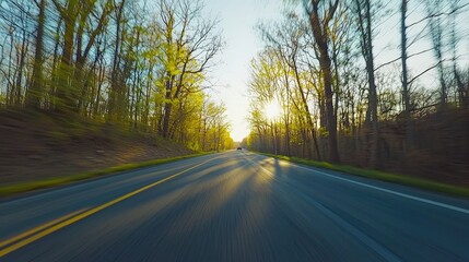 Fototapeta premium Driving through a sunlit forest road in springtime