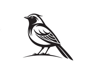 bird logo silhouette vector line art logo design
