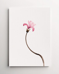 Classic Traditional Watercolor Painting of Pink Flower with Green Stem on White Background Featuring Soft Tones and Detailed Brushwork