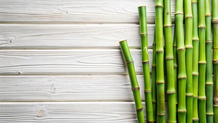 Fototapeta premium bamboo leaves on bamboo