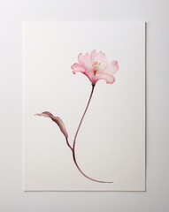 Soft and Delicate Watercolor Painting of Pink Flower with Green Stem on White Background in Vintage Traditional Style