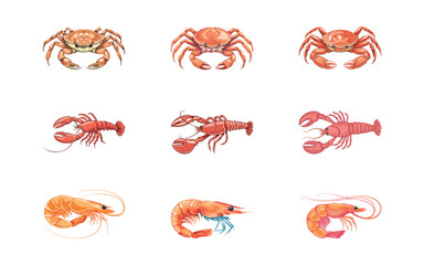 crab, lobster, shrimp hand drawn with three style