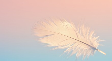 Obraz premium Delicate pastel feather, soft and fluffy. Light white, natural beauty.
