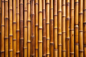Fototapeta premium bamboo background texture
