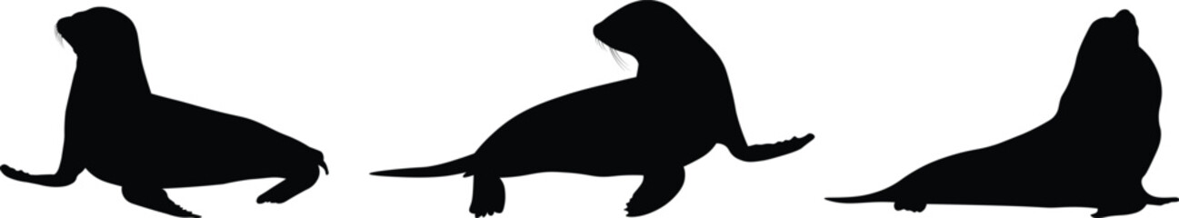 Sea Lion Silhouette in different poses flat style, vector illustration