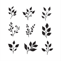 set of minimalist Plant Collection with Silhouette leaves  Vector Graphics on White Background