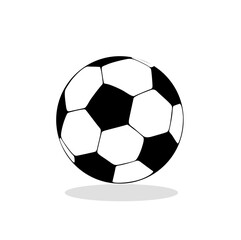 Obraz premium Playing sports with a team ball