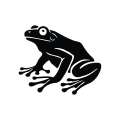 Frog Illustration Vector With White Background.