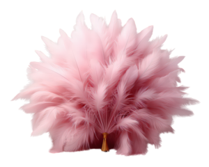 Burlesque Feather Fan Isolated on Transparent Background