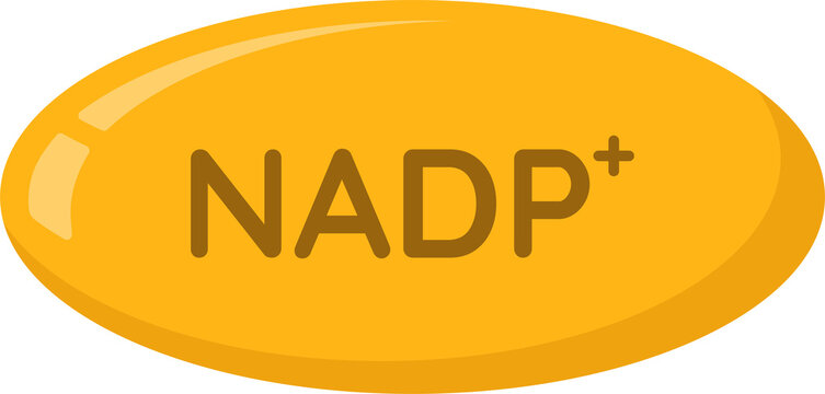 NADP+