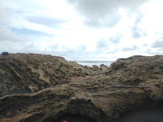 wood on the beach beautiful background