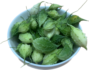 fresh bitter gourd in white bow on white background 