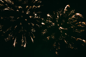 Obraz premium Fireworks, Happy New Year, Chinese new year, Lunar new year