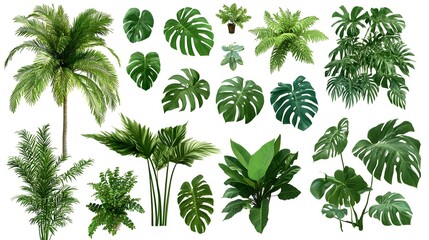A collection of vibrant tropical potted plants and lush green leaves on a white background, perfect for botanical designs, interior decor concepts, or nature-inspired creative projects.