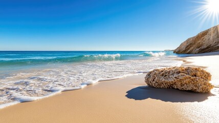 Serene sandy beach with clear blue waters and bright sunlight