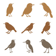 Simple Babbler Bird Illustration Design Set