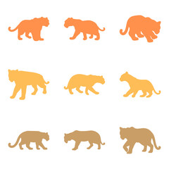 Simple Leopard Illustration Design Set